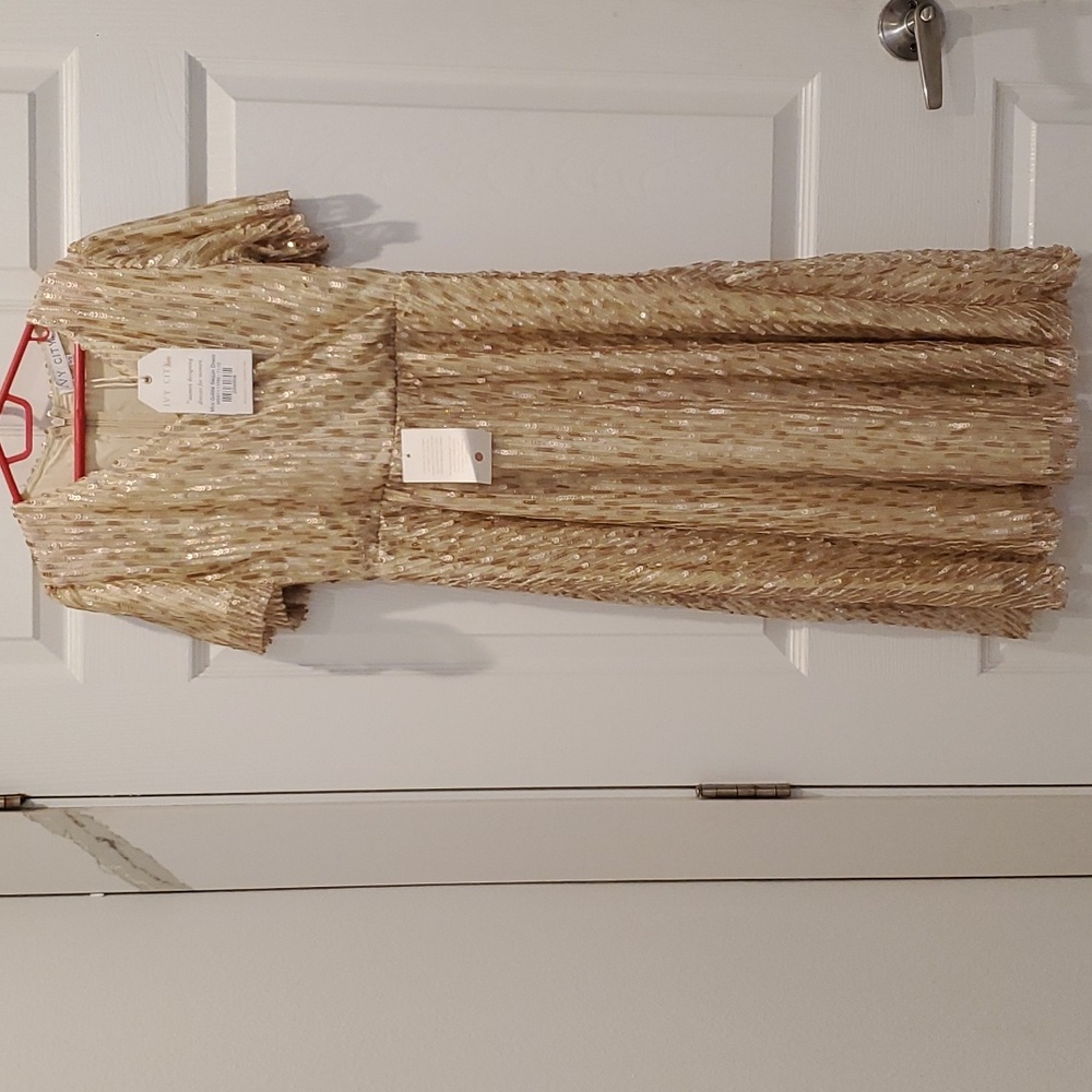 Ivy City Mini Goldie Sequin Dress